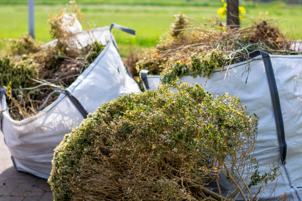 Best Professional Junk Removal  in Citrus Park, AZ
